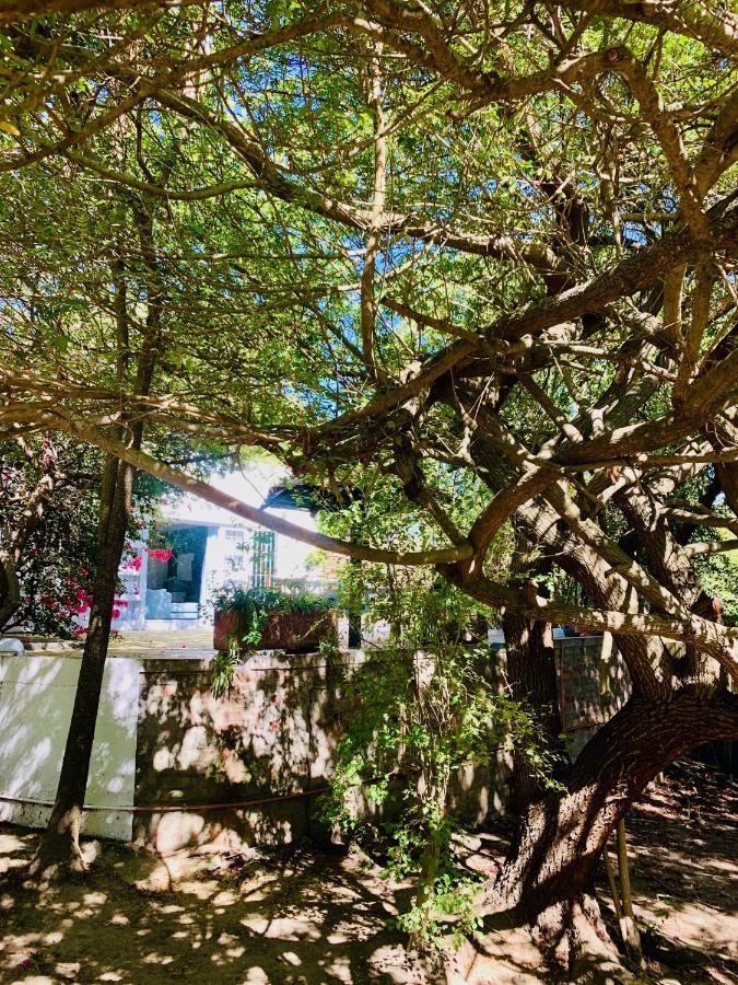 The Little Hideaway Guesthouse สเตลเลนบอช ภายนอก รูปภาพ