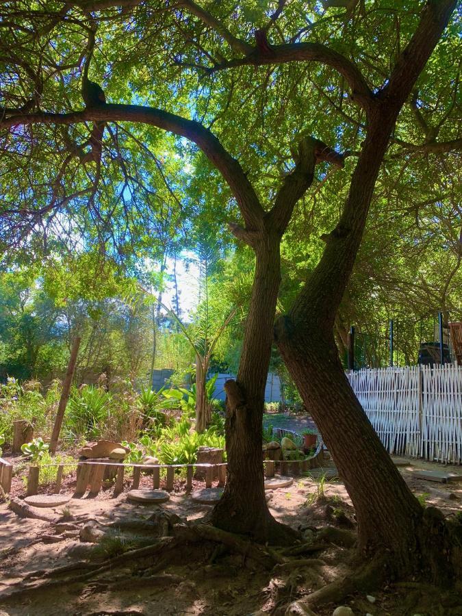 The Little Hideaway Guesthouse สเตลเลนบอช ภายนอก รูปภาพ